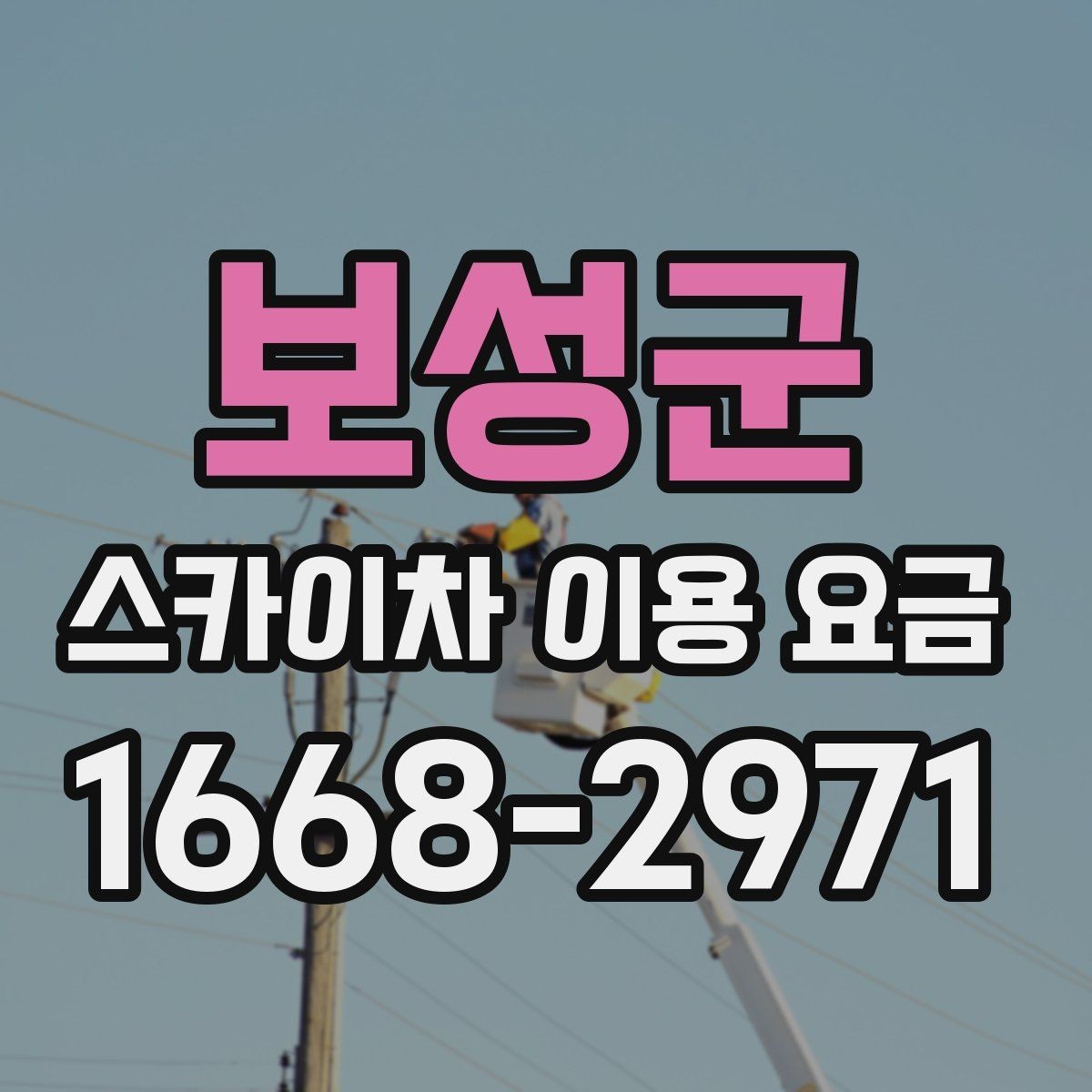 보성군 스카이차 이용 요금 계산에서 빠지기 쉬운 항목