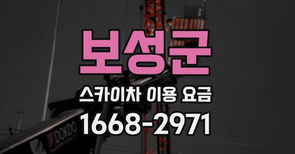 보성군 스카이차 이용 요금