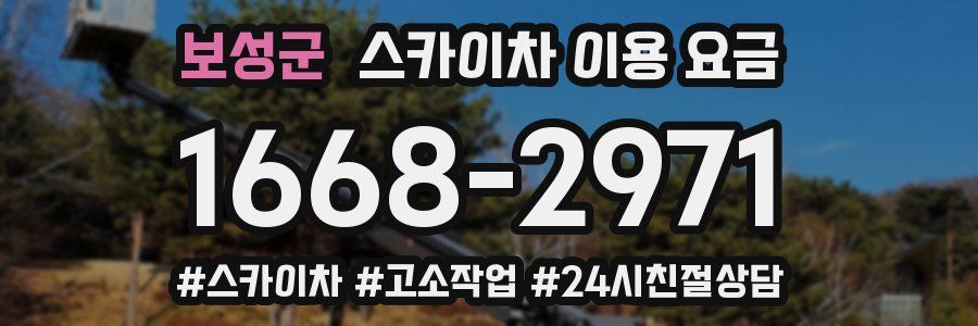 보성군 스카이차 이용 요금