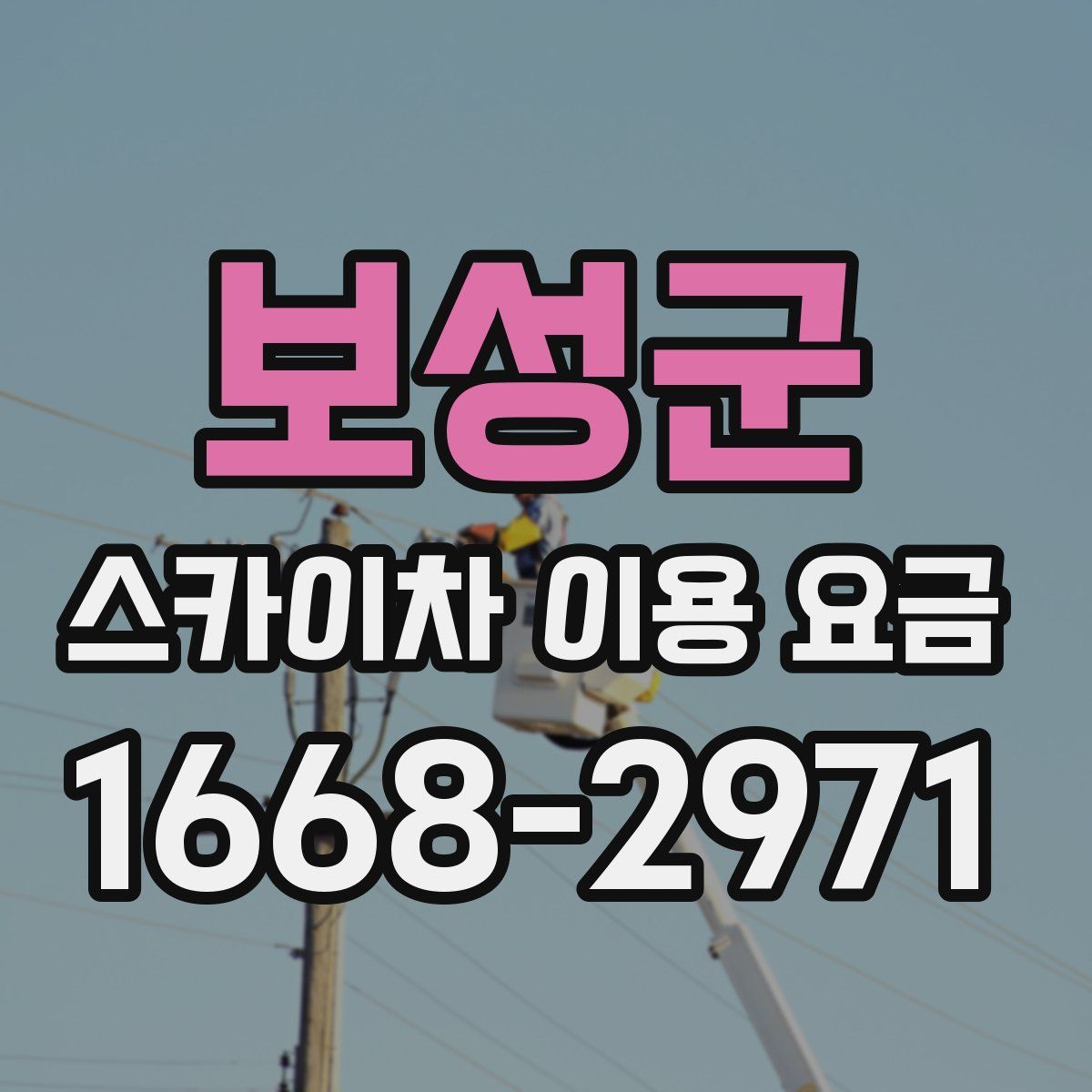 보성군 스카이차 이용 요금