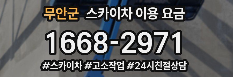무안군 스카이차 이용 요금
