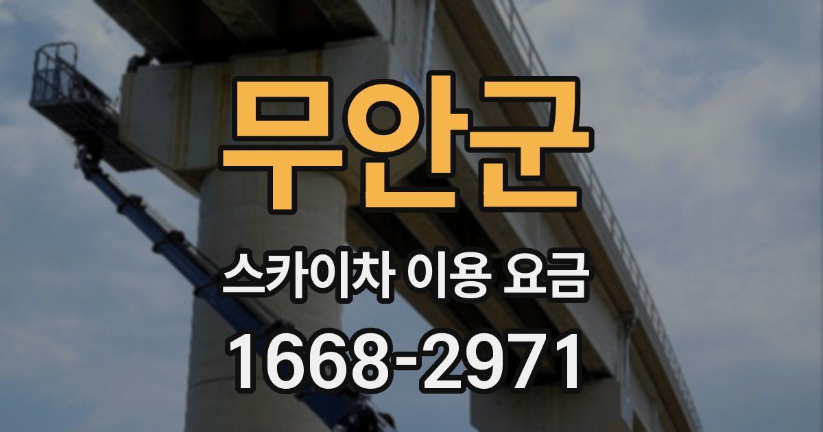 무안군 스카이차 이용 요금