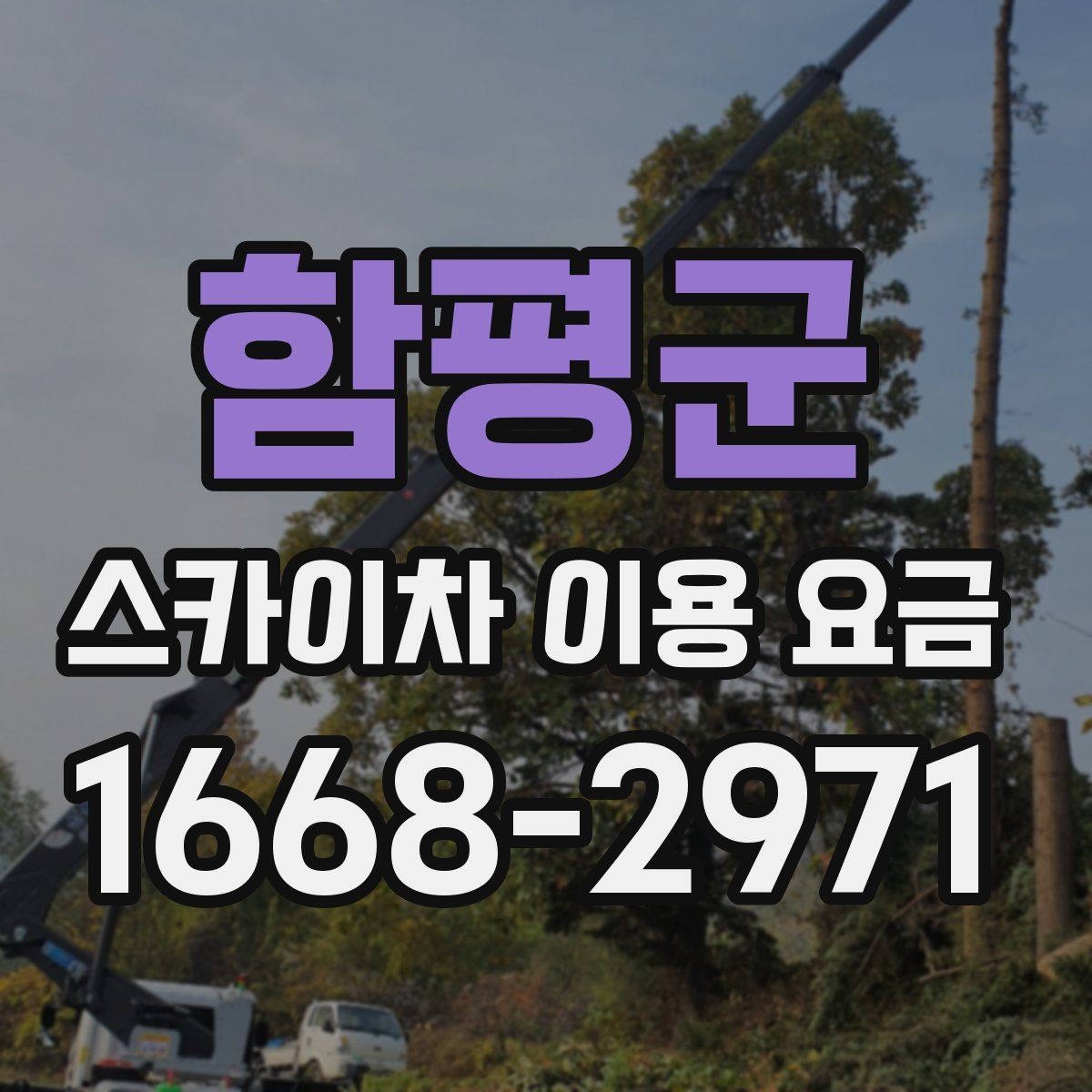 함평군 스카이차 이용 요금 계산에서 빠지기 쉬운 항목