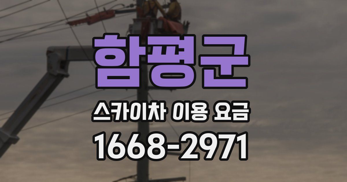 함평군 스카이차 이용 요금
