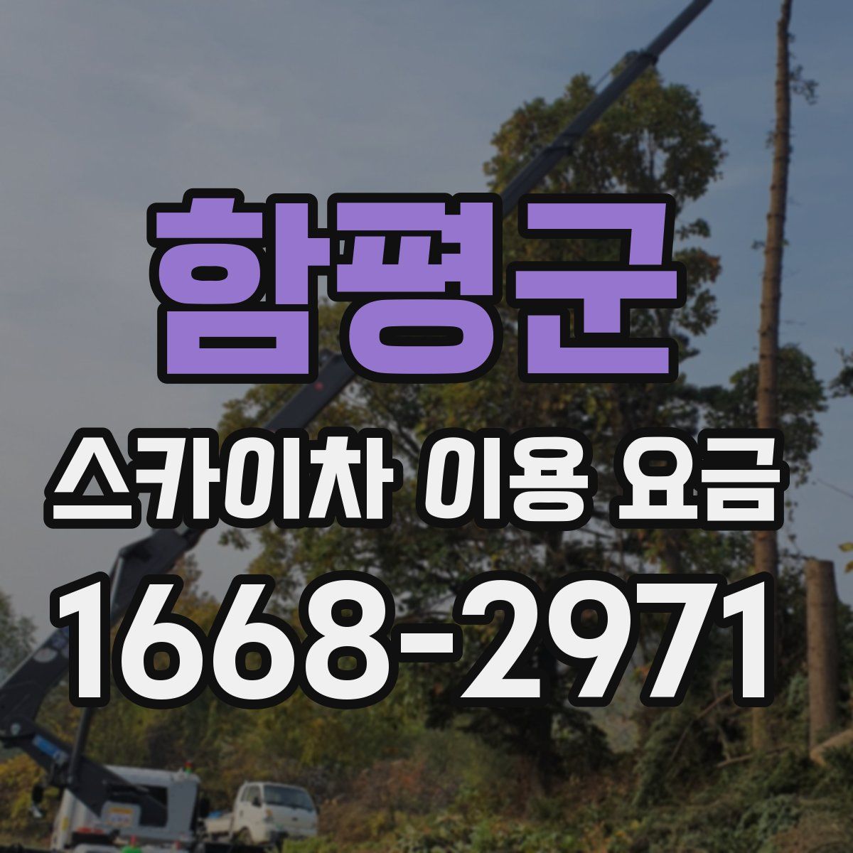 함평군 스카이차 이용 요금