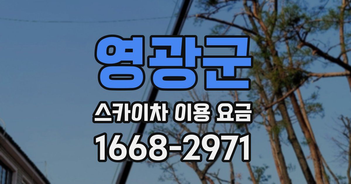 영광군 스카이차 이용 요금