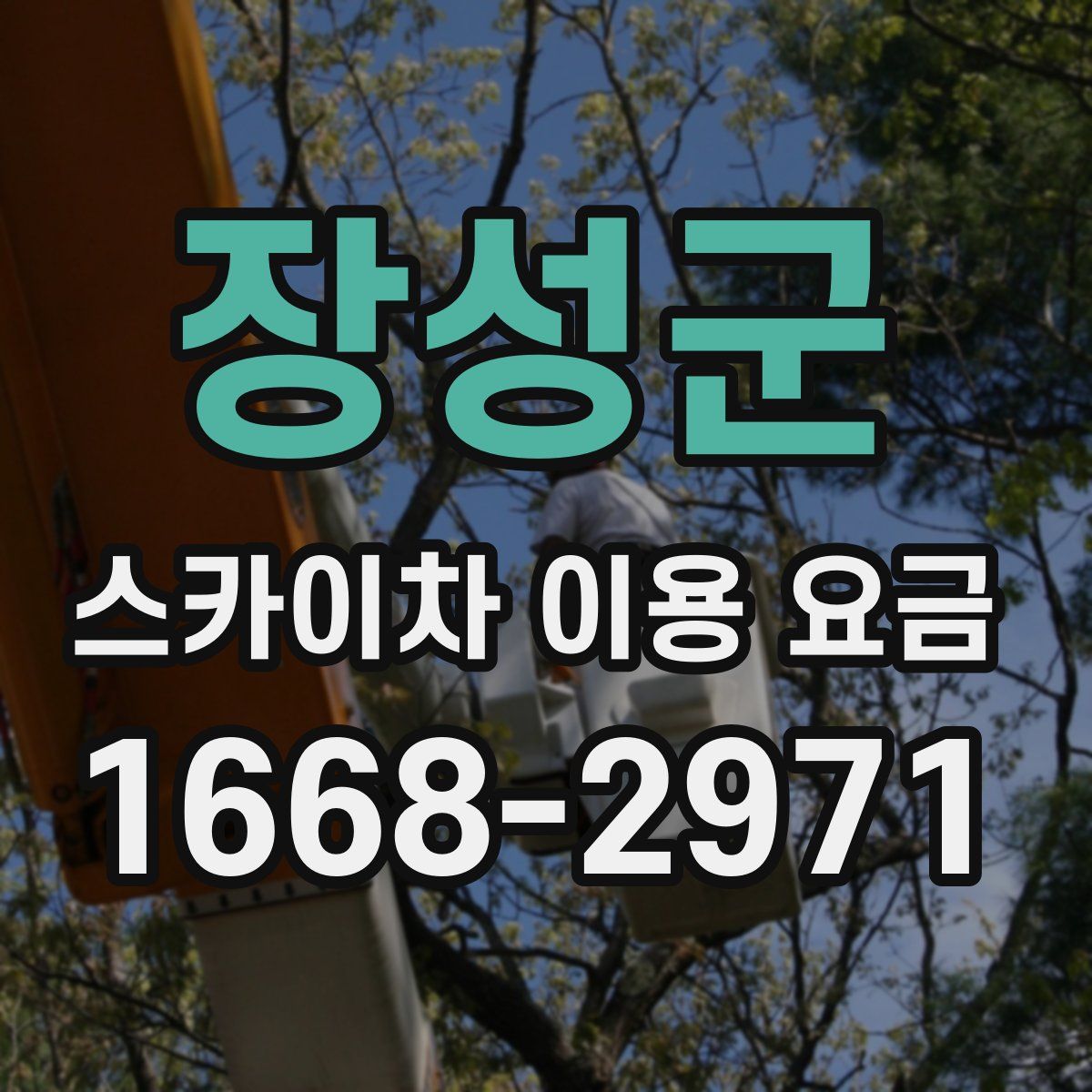 장성군 스카이차 이용 요금