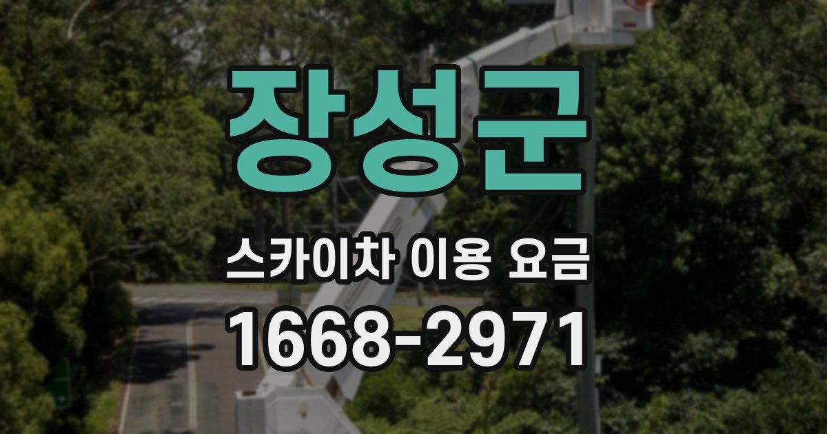 장성군 스카이차 이용 요금