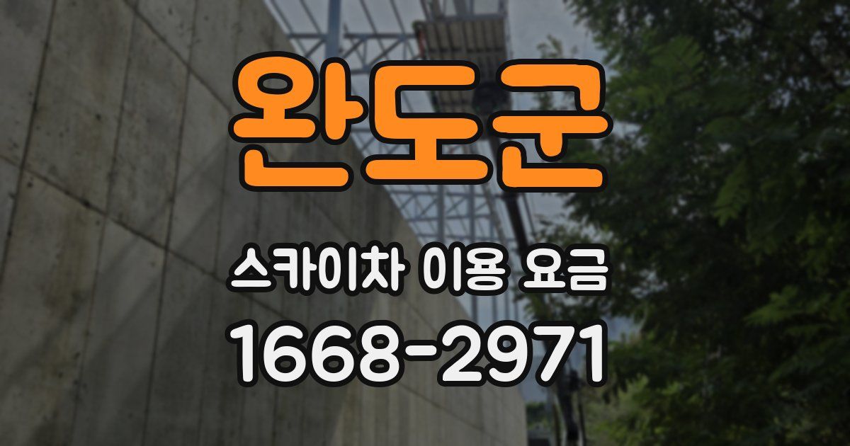 완도군 스카이차 이용 요금