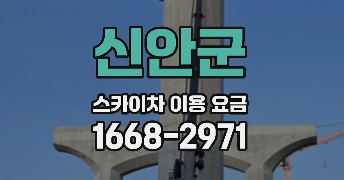 신안군 스카이차 이용 요금