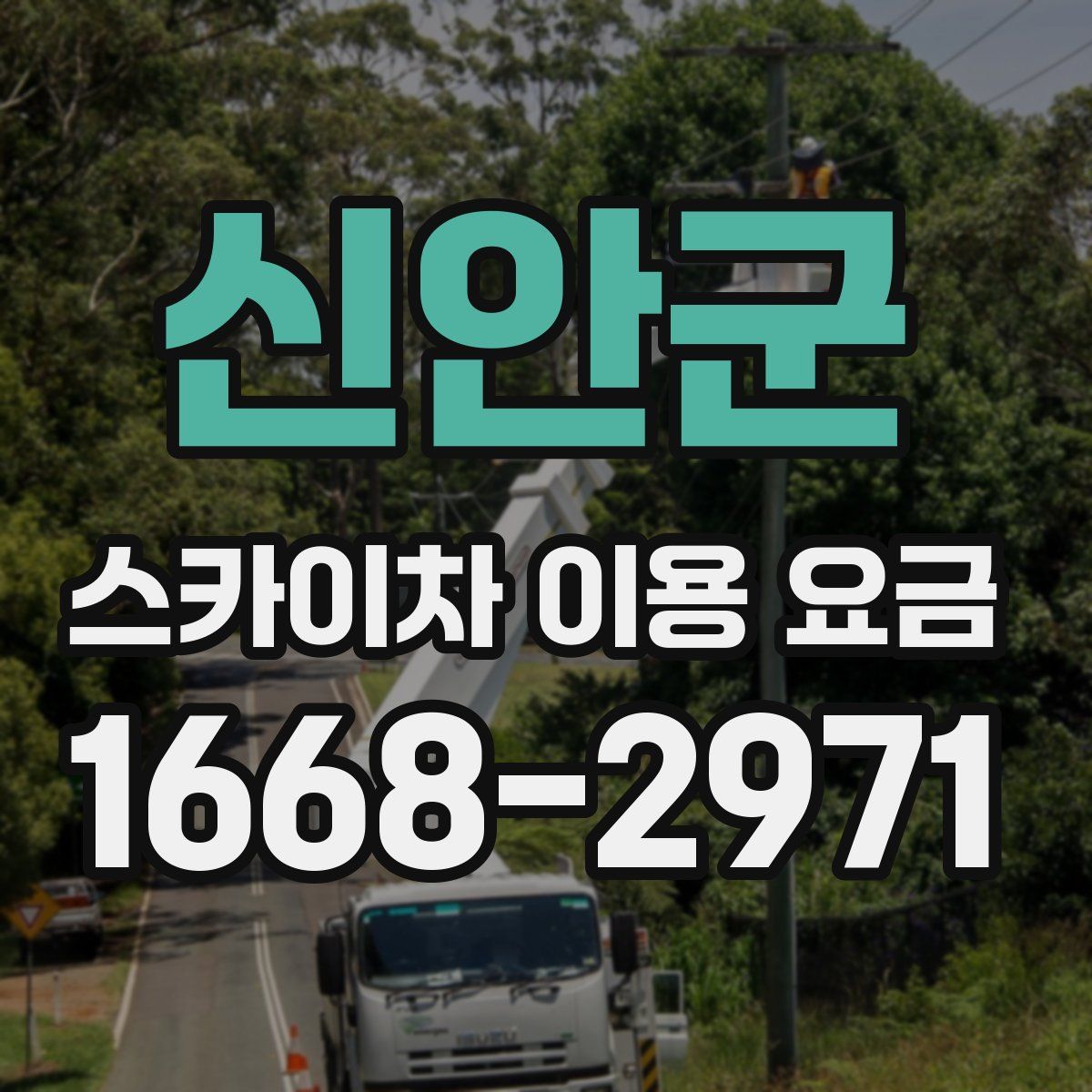 신안군 스카이차 이용 요금