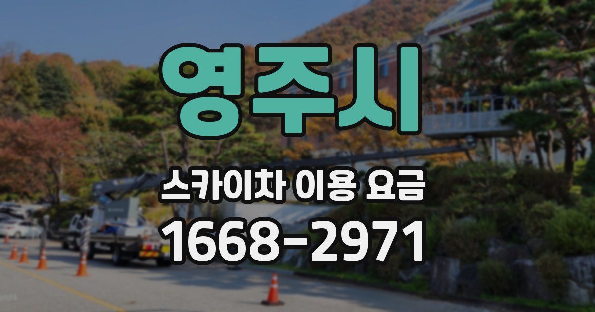 영주시 스카이차 이용 요금