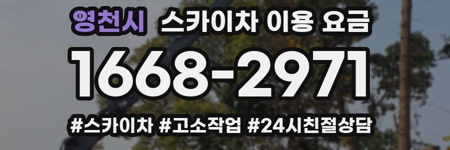 영천시 스카이차 이용 요금