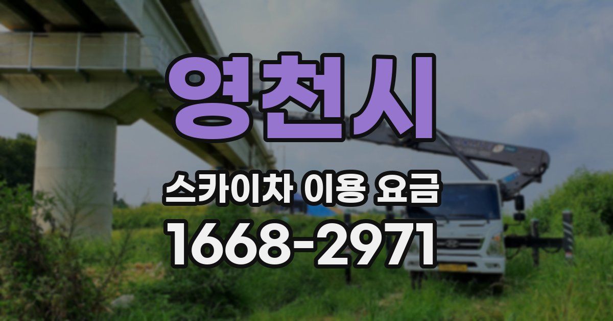 영천시 스카이차 이용 요금