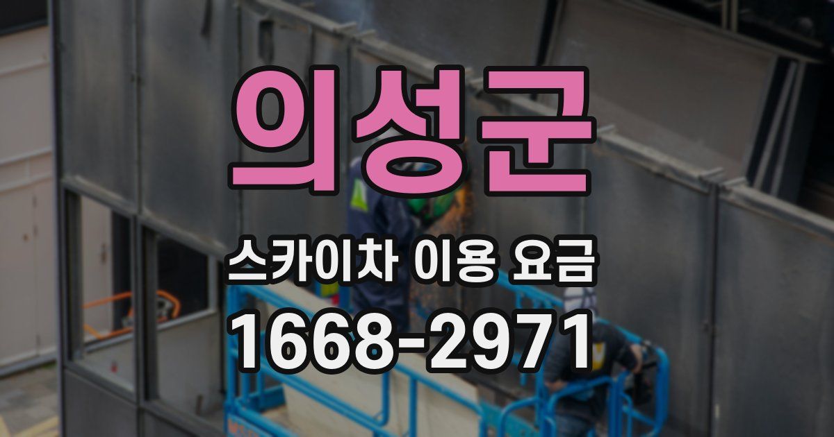 의성군 스카이차 이용 요금