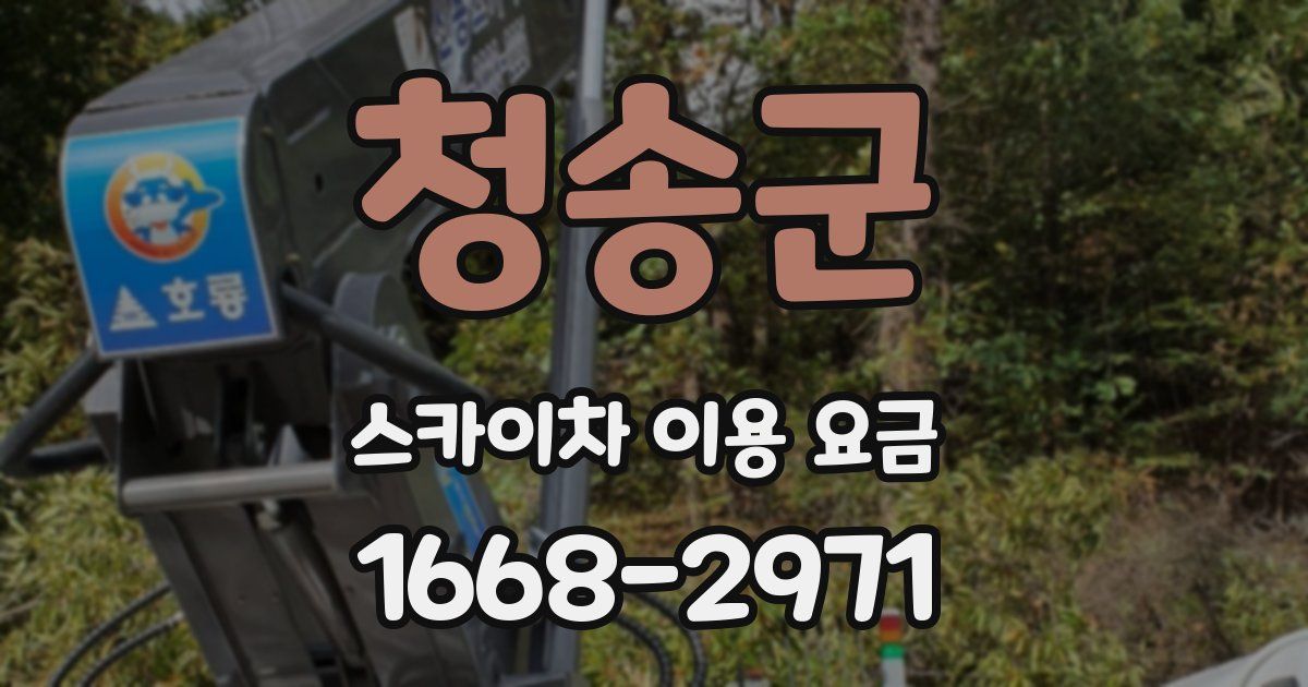 청송군 스카이차 이용 요금