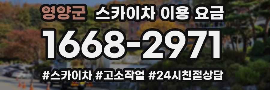 영양군 스카이차 이용 요금