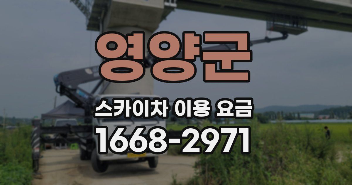 영양군 스카이차 이용 요금