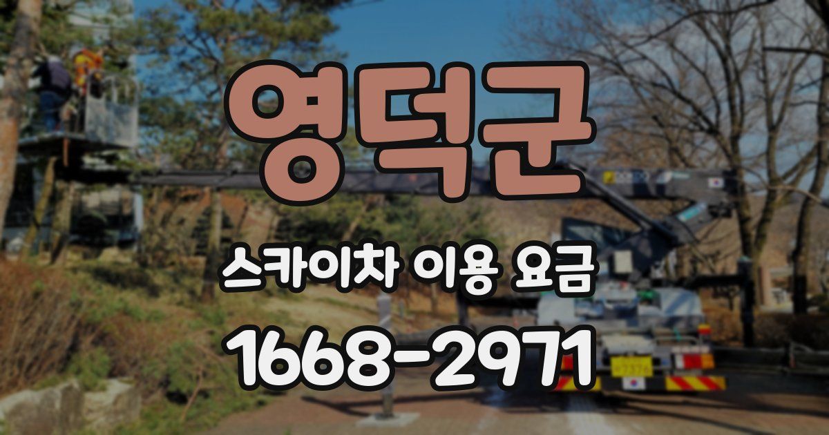 영덕군 스카이차 이용 요금