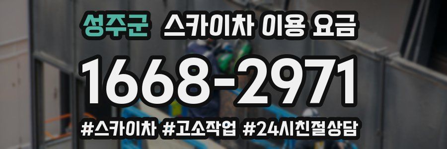 성주군 스카이차 이용 요금