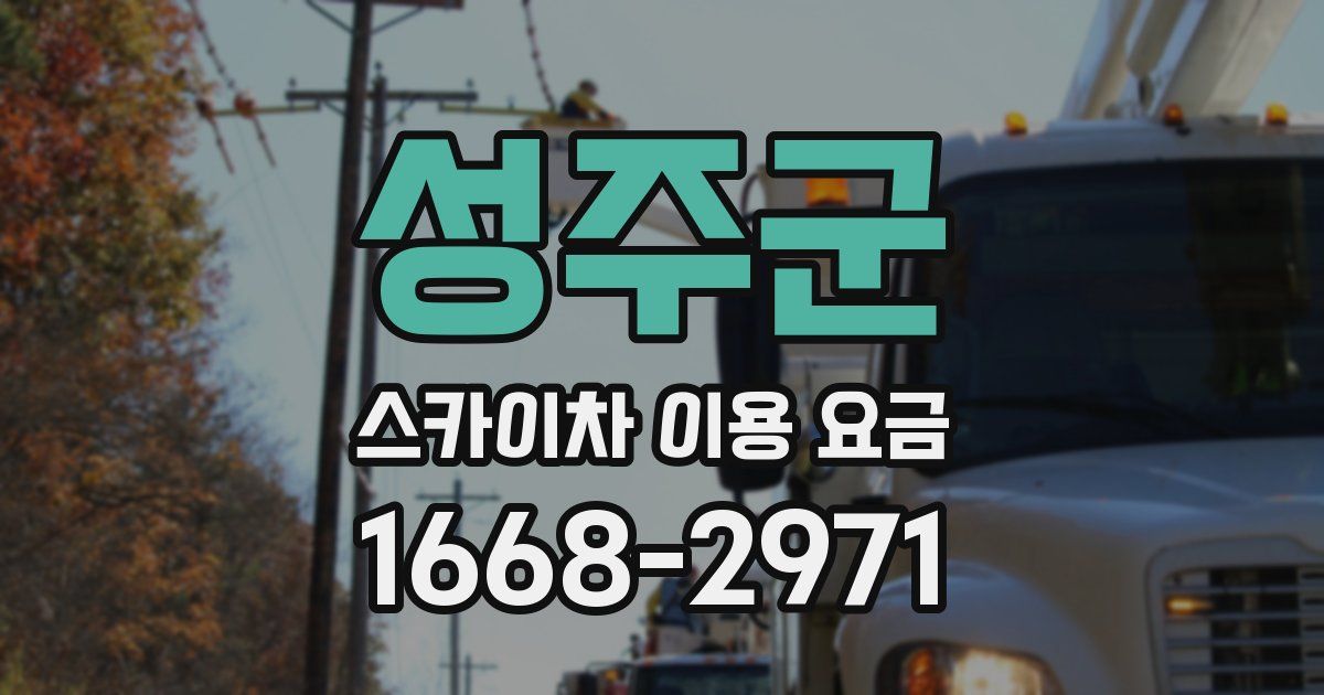 성주군 스카이차 이용 요금