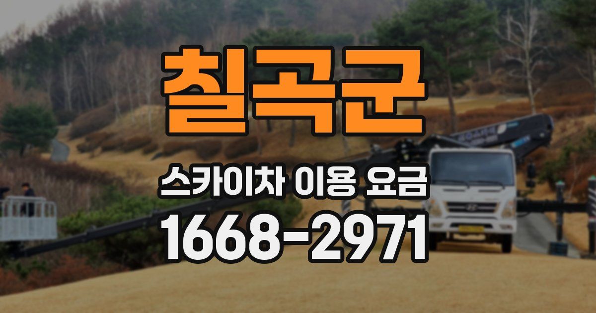칠곡군 스카이차 이용 요금