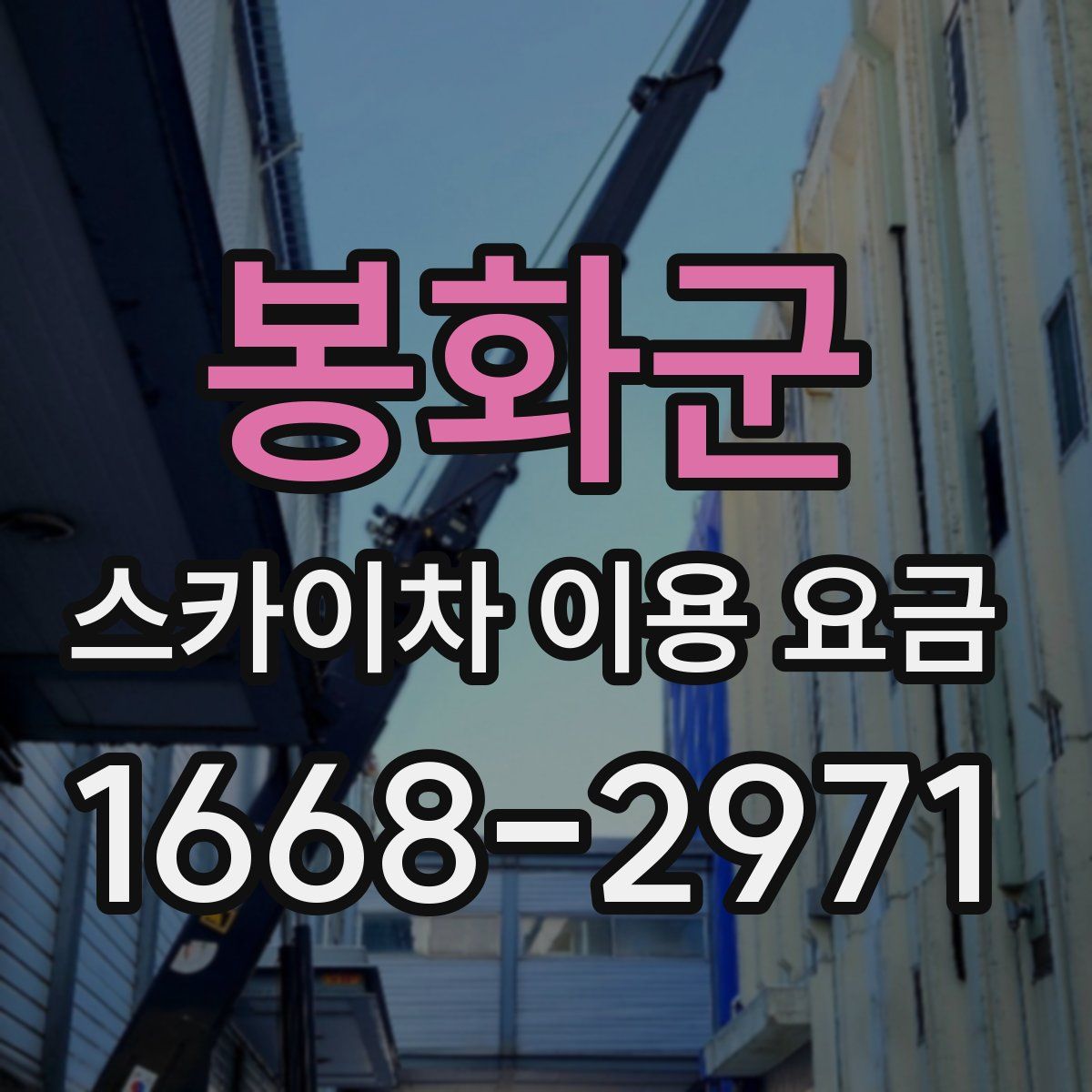 봉화군 스카이차 이용 요금