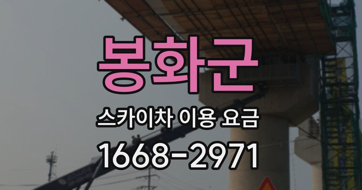 봉화군 스카이차 이용 요금