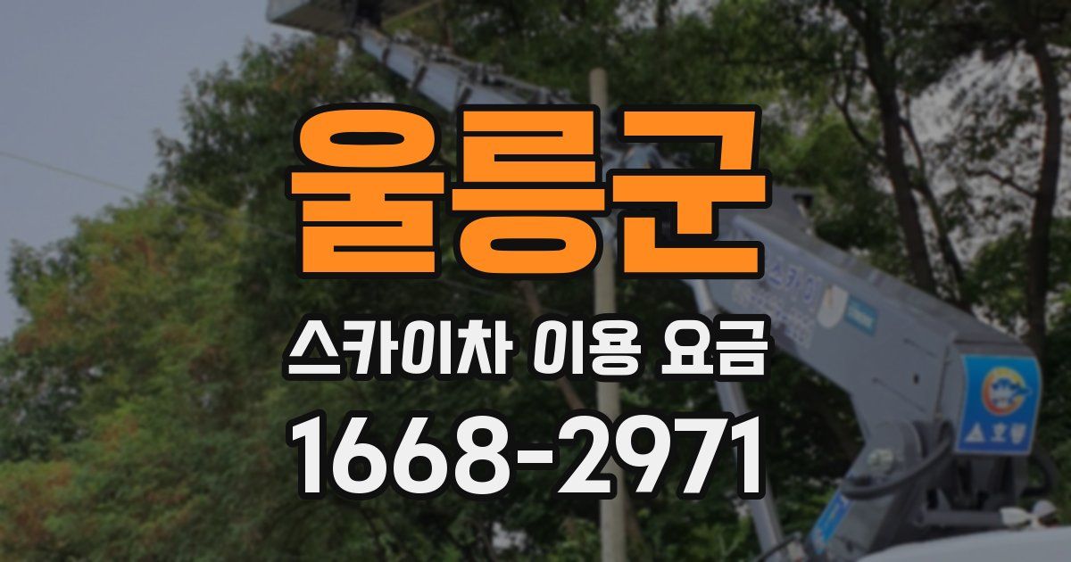 울릉군 스카이차 이용 요금