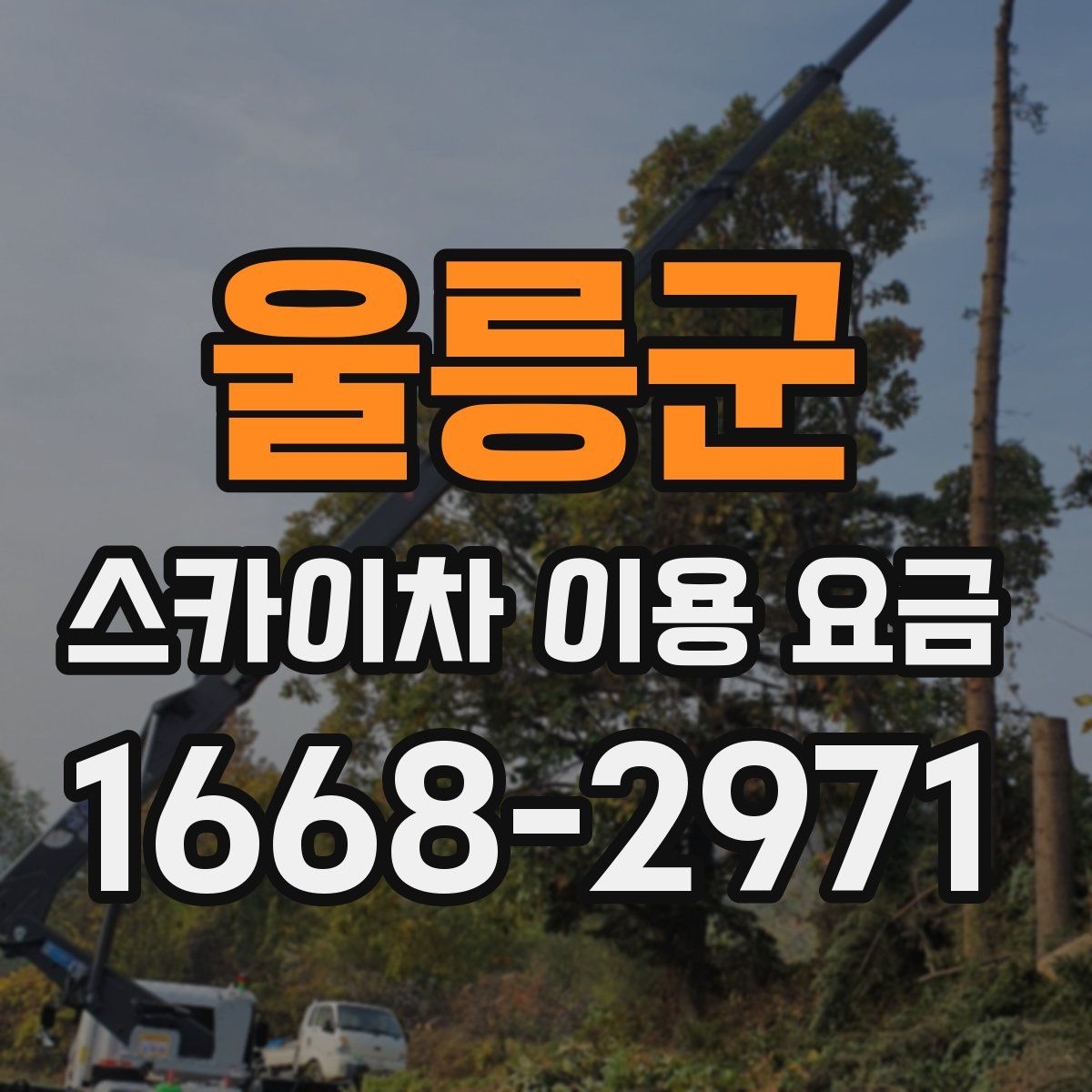 울릉군 스카이차 이용 요금