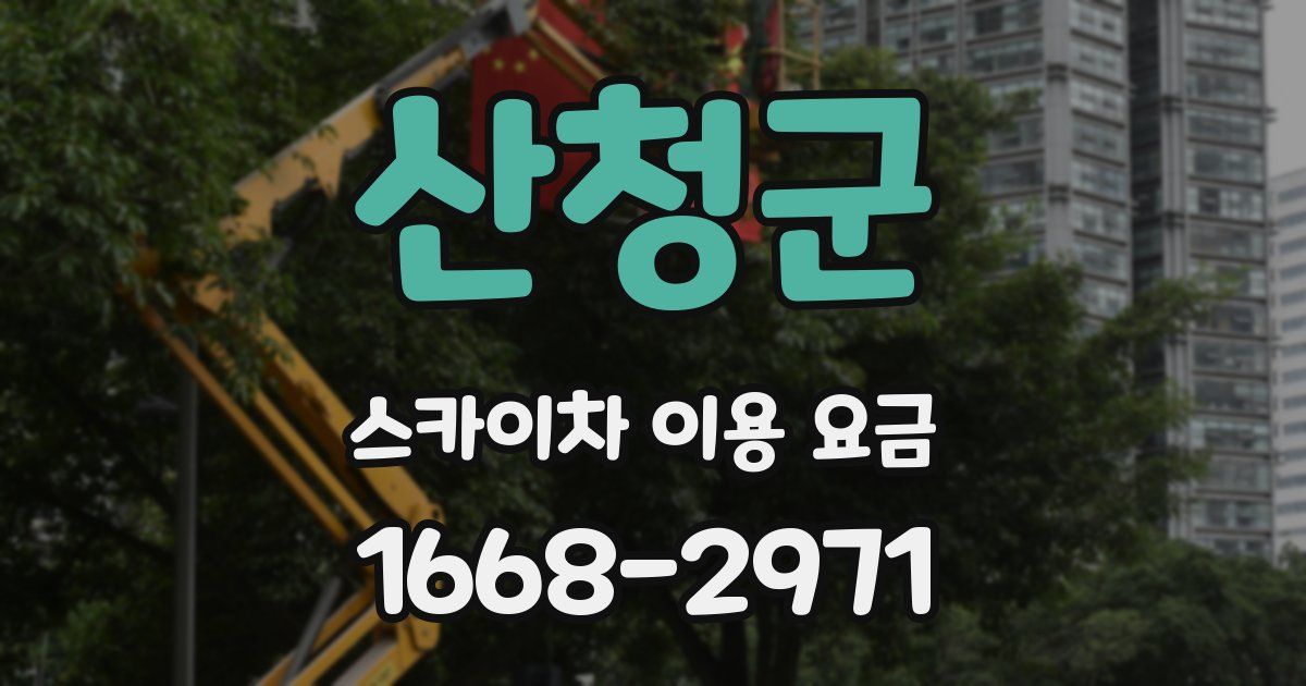 산청군 스카이차 이용 요금