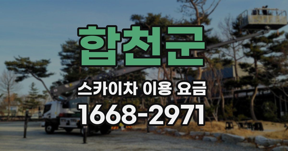 합천군 스카이차 이용 요금