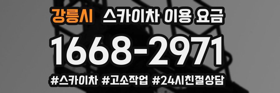 강릉시 스카이차 이용 요금