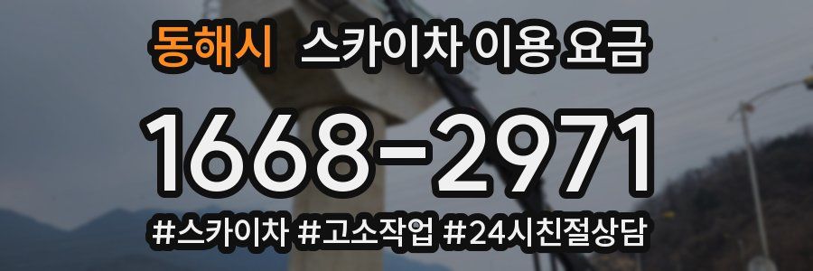 동해시 스카이차 이용 요금