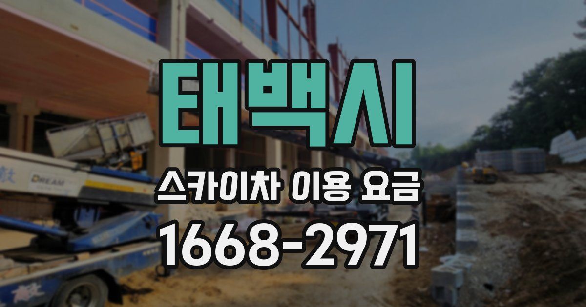 태백시 스카이차 이용 요금