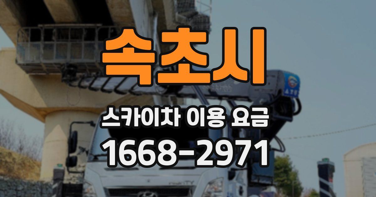 속초시 스카이차 이용 요금