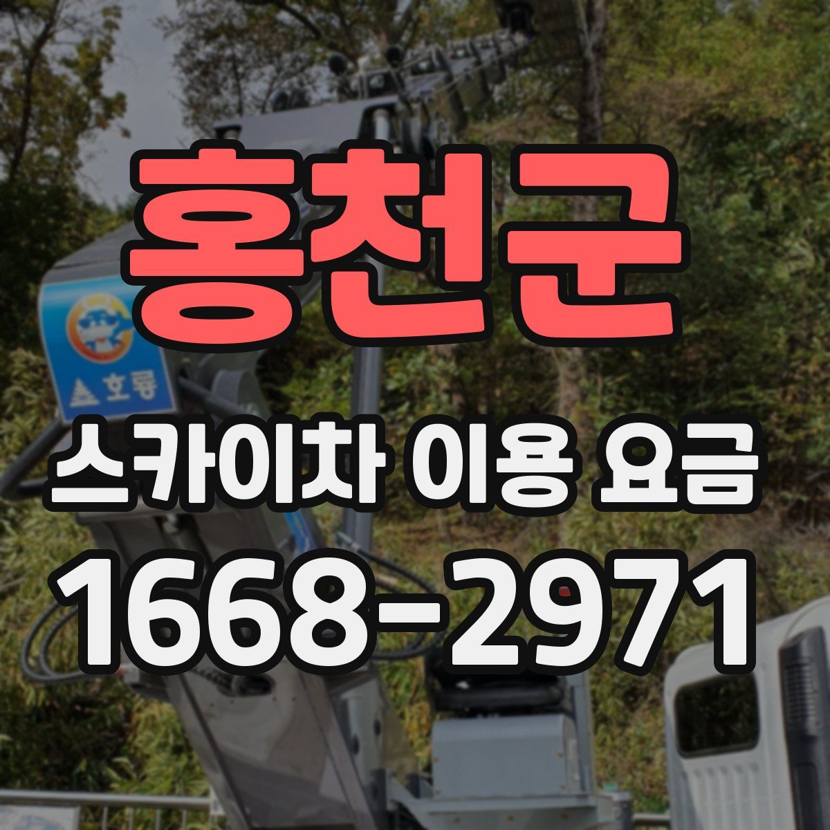 홍천군 스카이차 이용 요금
