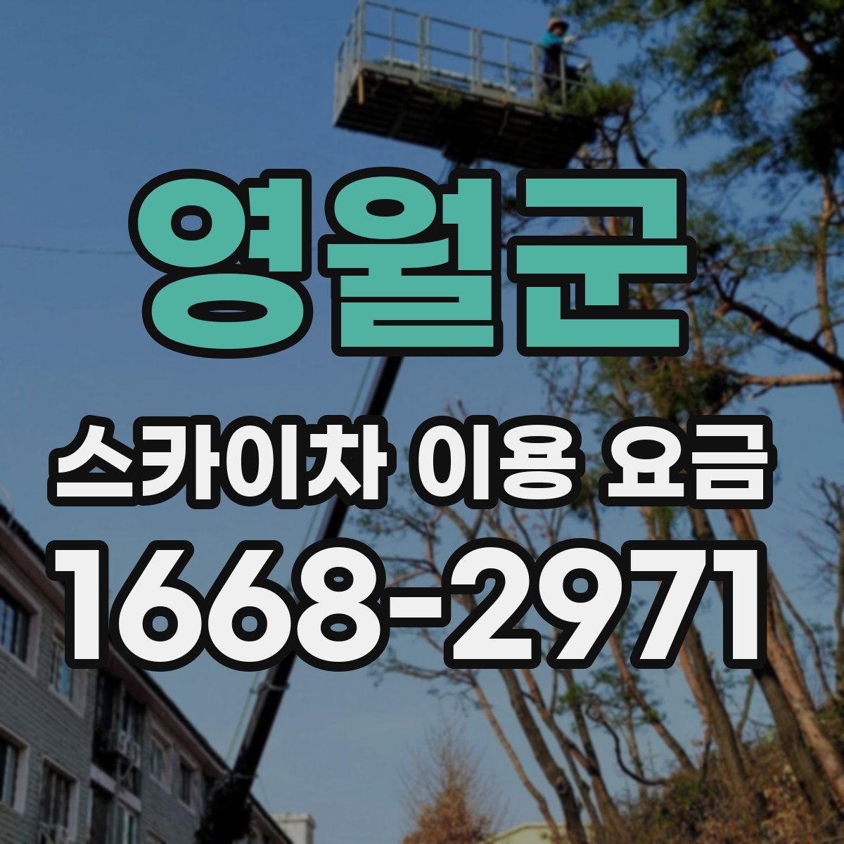 영월군 스카이차 이용 요금