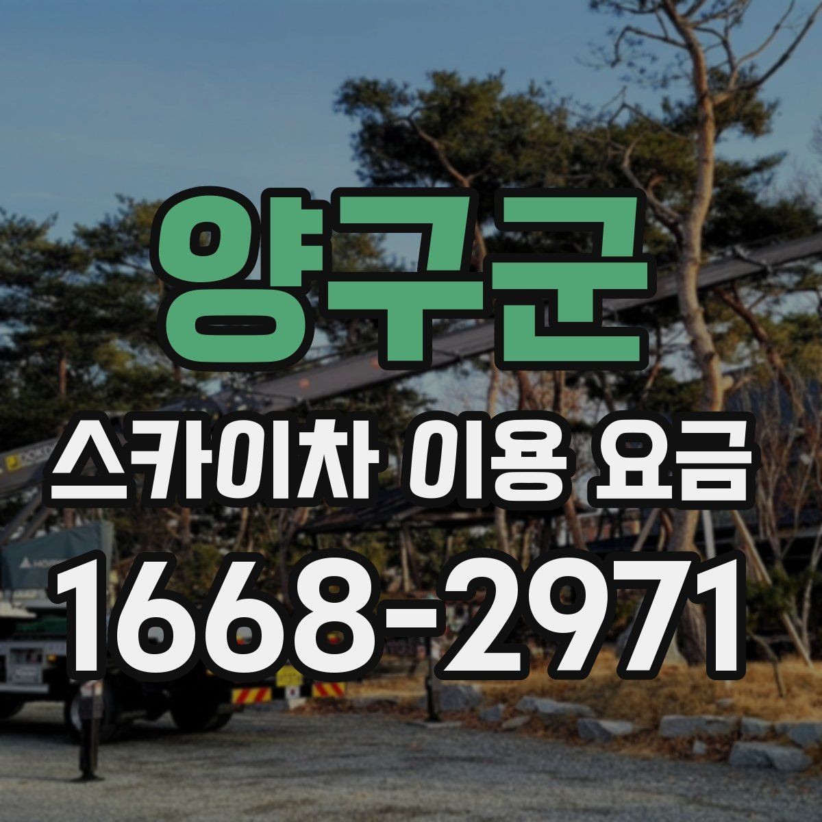양구군 스카이차 이용 요금 확인 후 선택할 때 살펴볼 부분
