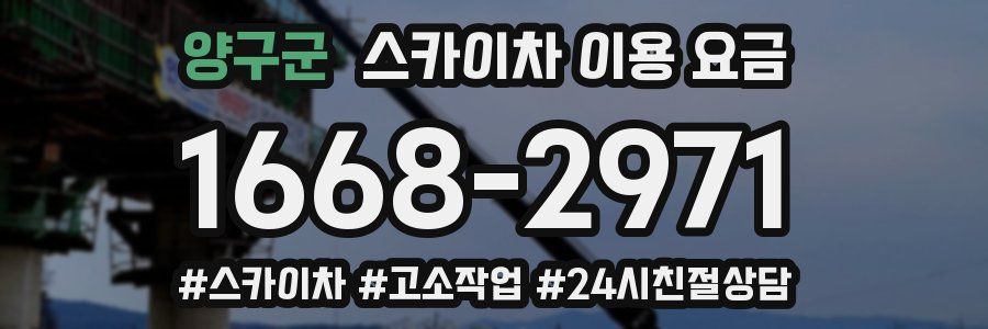 양구군 스카이차 이용 요금