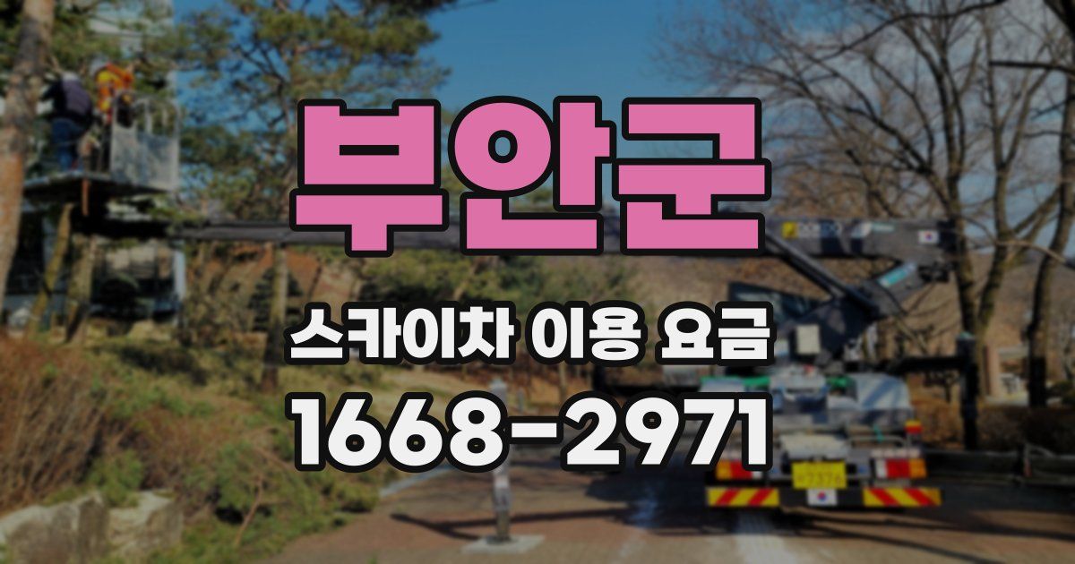 부안군 스카이차 이용 요금