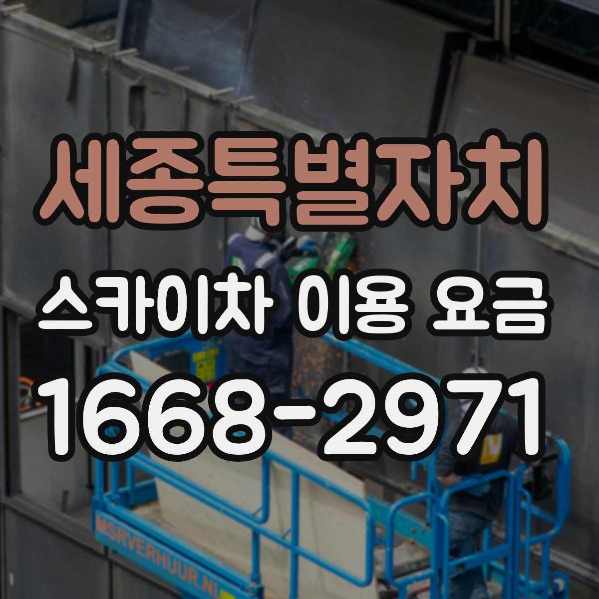 세종특별자치 스카이차 이용 요금