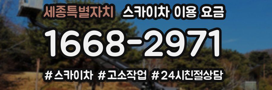 세종특별자치 스카이차 이용 요금