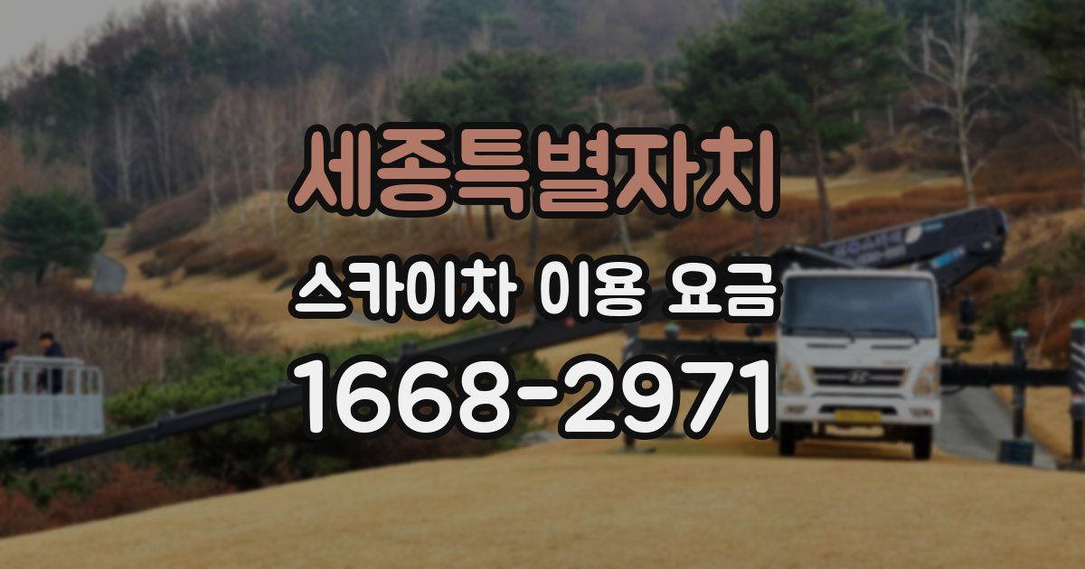 세종특별자치 스카이차 이용 요금