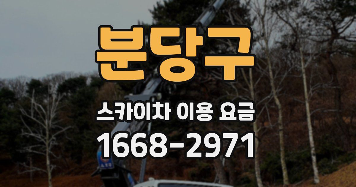 분당구 스카이차 이용 요금
