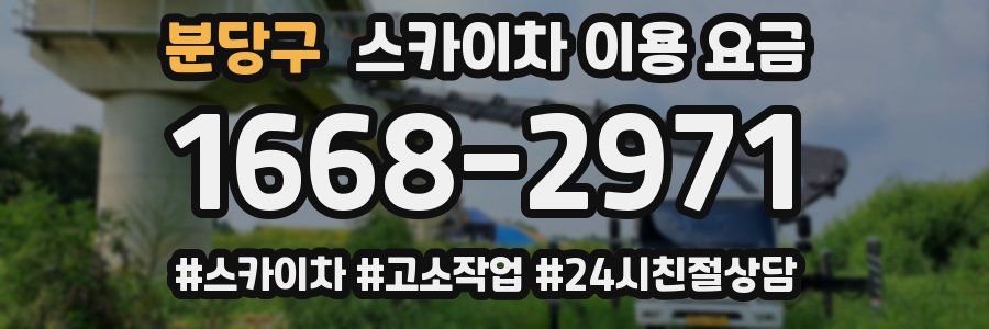 분당구 스카이차 이용 요금