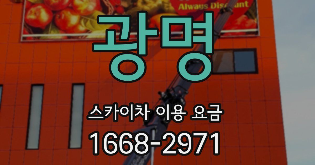 광명 스카이차 이용 요금