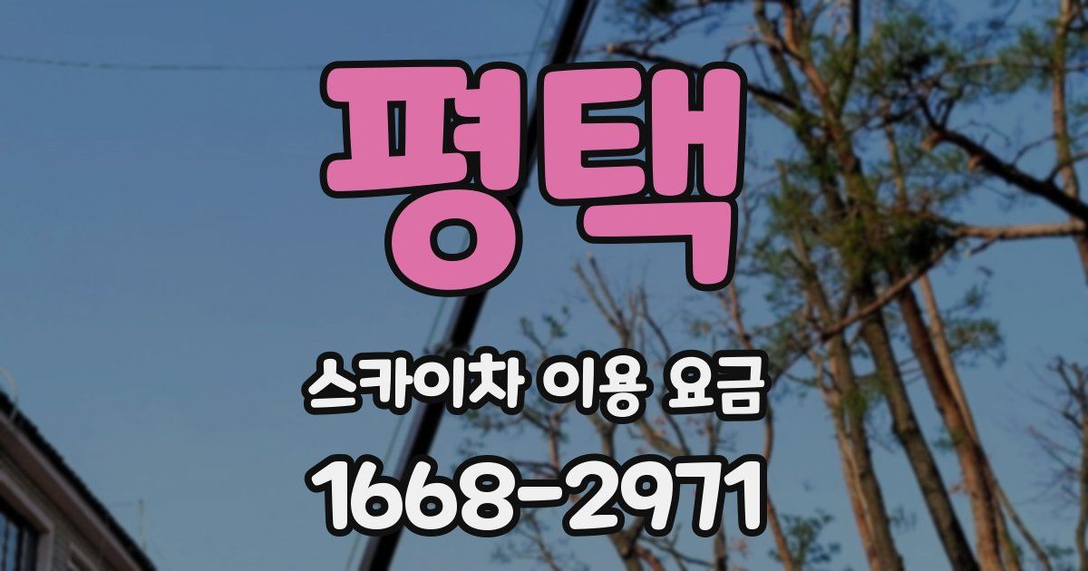 평택 스카이차 이용 요금