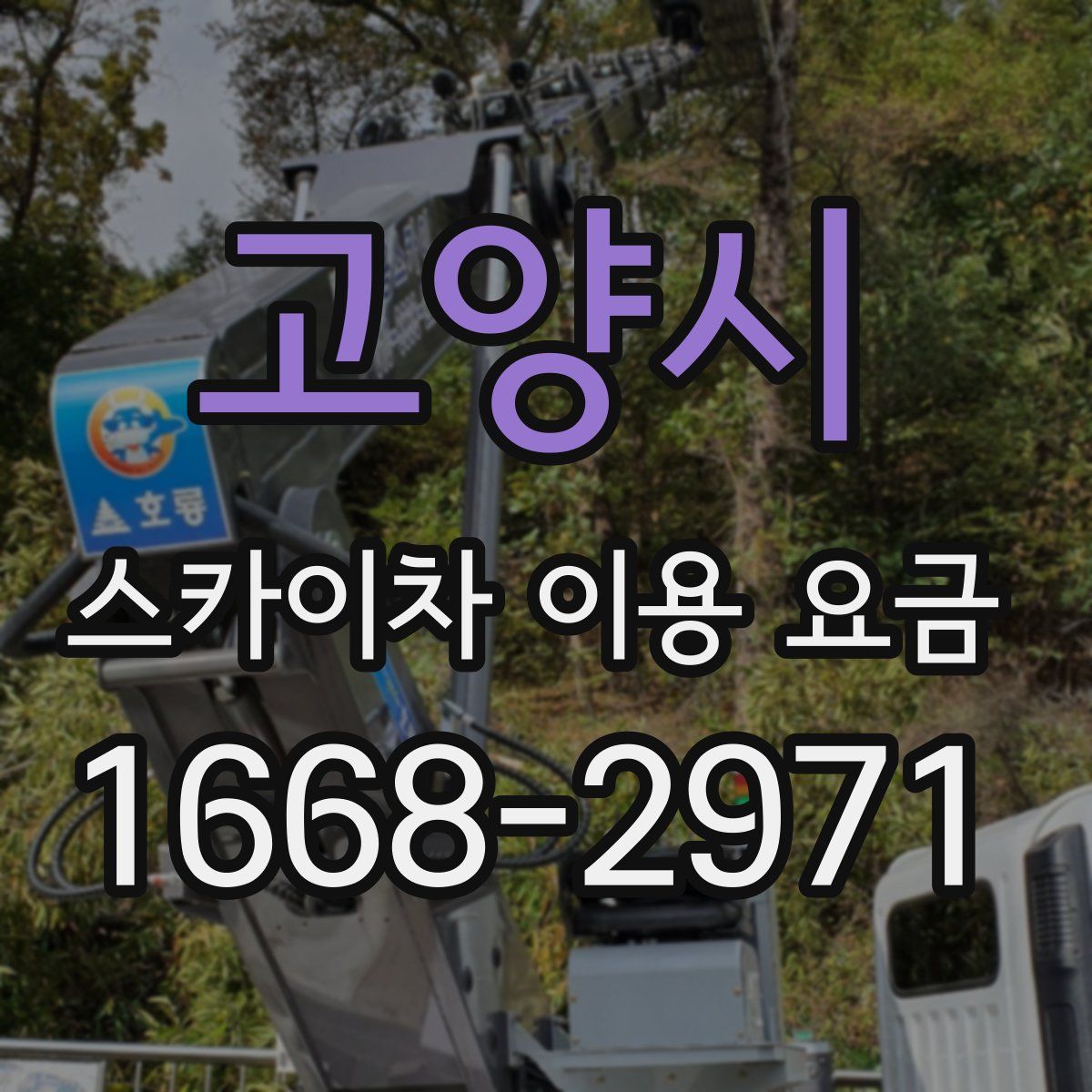 고양시 스카이차 이용 요금