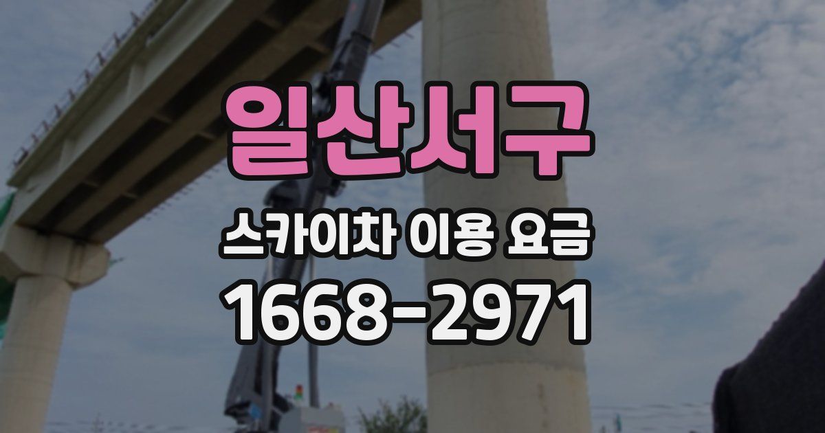 일산서구 스카이차 이용 요금